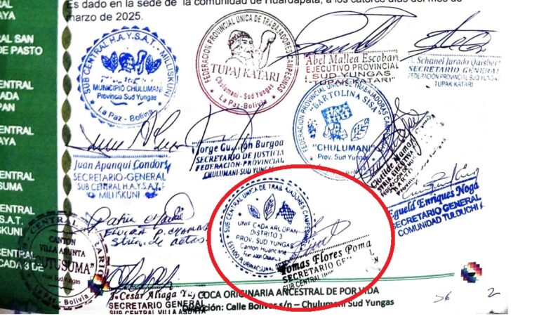 Rubrica de Tomas Flores que lo realizó sin consulta, según Jaime Romero. (Foto: Captura del documento)
